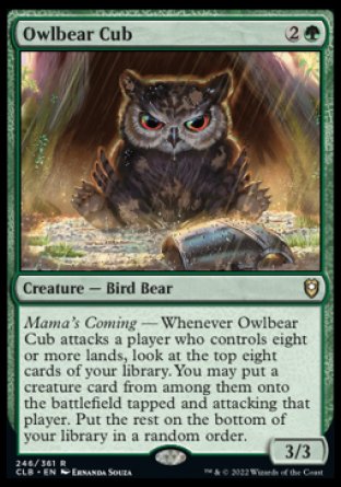 Owlbear Cub